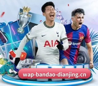半岛电竞 APP 界面